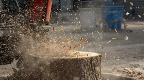 Commercial Stump Grinding