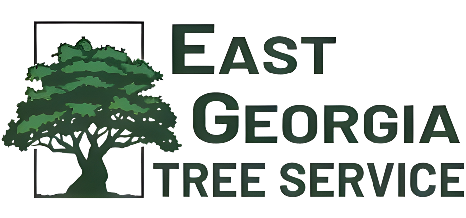 EAST GEORGIA 2 (1)